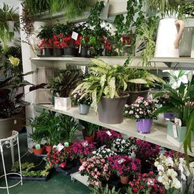 fwthumb20170325_085342 copyb.jpg